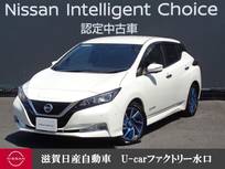 日産 リーフ G 40kWh ・12セグ・寒冷地仕様・プロパイロッ