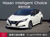 日産 リーフ e+ G 62kWh ・12セグ・ナビゲーション・全周囲カ
