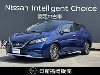 日産 リーフ AUTECH バックモニター　ドラレコ　プロパイロット