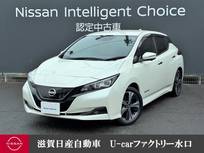 日産 リーフ X Vセレクション 40kwh・12セグ・コネクトナビ・プロパイロ