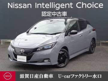 X 40kwh・12セグ・コネクトナビ・クルーズコ