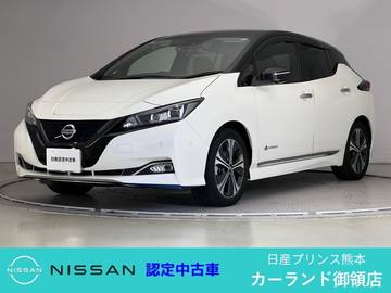 G ドラレコ ETC ステアリングヒーター アラウ