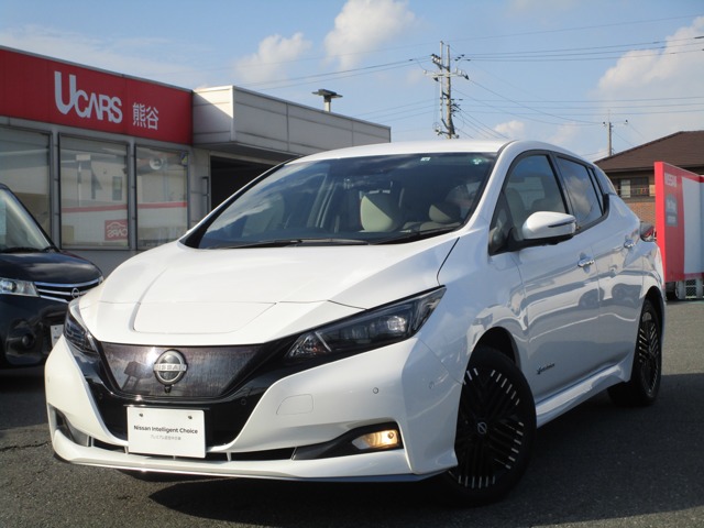 リーフ(関東)の中古車｜日産公式中古車検索サイト