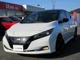 日産 リーフ e+ G 下取りワンオーナー　12セグメント