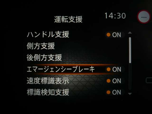 複数画像11
