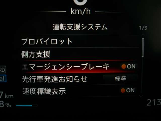 複数画像11