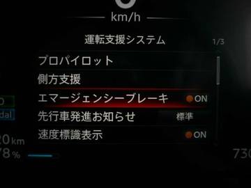 複数画像11