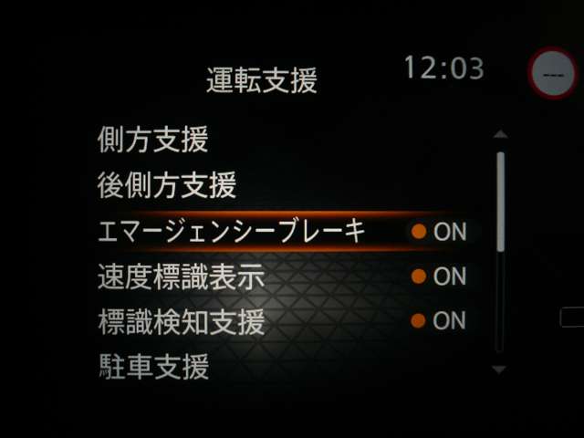 複数画像12