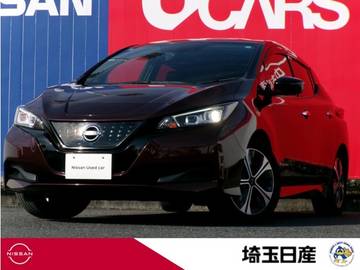 X Vセレクション 禁煙車　寒冷地仕様　プロパイロット