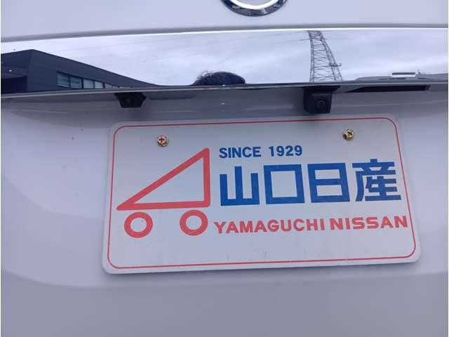 複数画像41