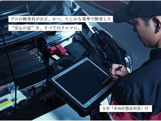 複数画像11
