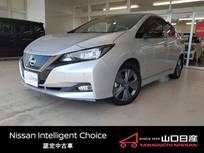 日産 リーフ e+ アーバンクロム フルセグメント