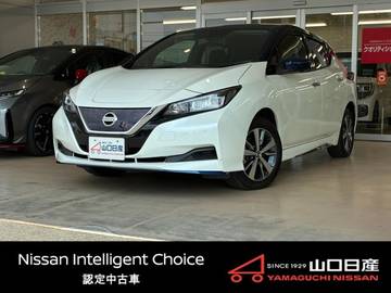 e+ X 62kWh　12セグメント