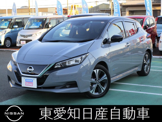 東愛知日産自動車株式会社 たんぽぽ広場豊川 愛知県 リーフ 日産の在庫詳細から中古車を探す 日産公式中古車検索サイト