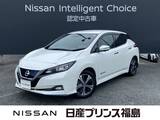 日産 リーフ e+ G 純正ナビ　全周囲カメラ　　プロパイロット
