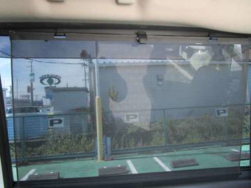 複数画像31