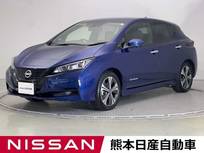 日産 リーフ X Vセレクション ドラレコ ETC プロパイロット 全周囲カメラ