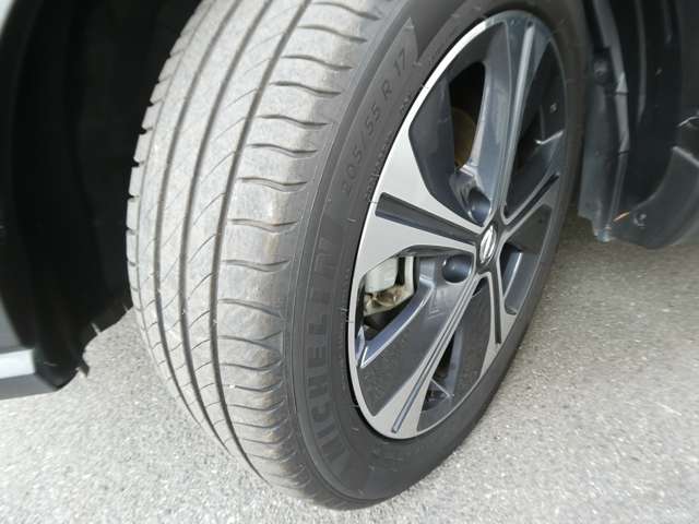 複数画像41