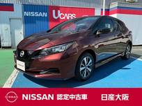 日産 リーフ e+ X 全方位カメラ　純正セキュリティー