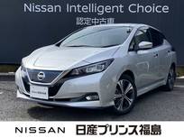 日産 リーフ e+ G 寒冷地仕様車　プロパイロット