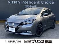 日産 リーフ e+ G プロパイロット　全周囲カメラ　BOSE