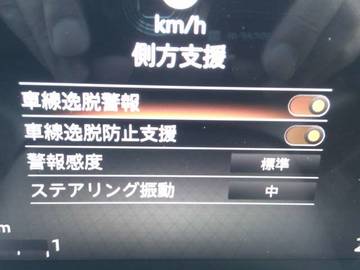 複数画像44