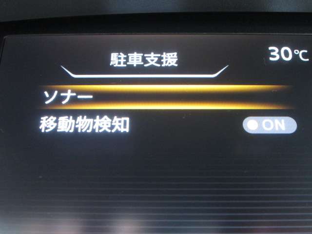 複数画像31