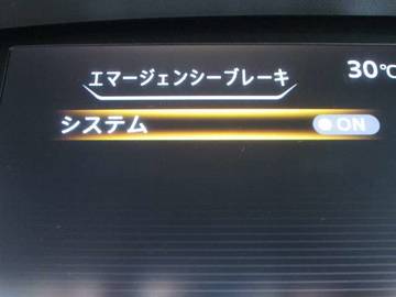 複数画像30