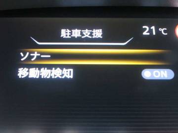 複数画像31