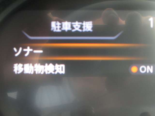 複数画像31