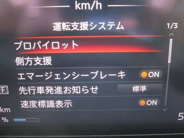 複数画像31
