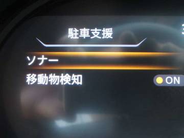 複数画像31