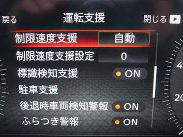 複数画像30