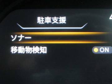 複数画像31