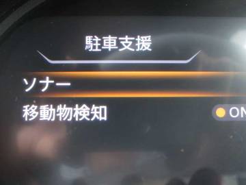 複数画像30