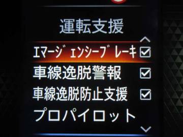 複数画像29
