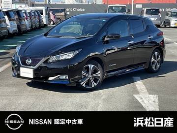 G メーカーナビ　プロパイロット