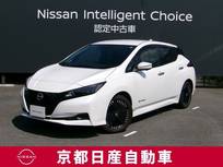 日産 リーフ X Vセレクション 日産コネクトナビTV /寒冷地+後席ヒーター