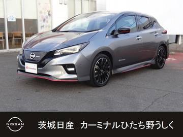 NISMO プロパイロット/スマートルームミラー