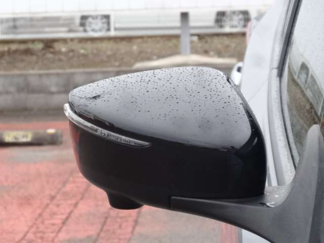 複数画像65