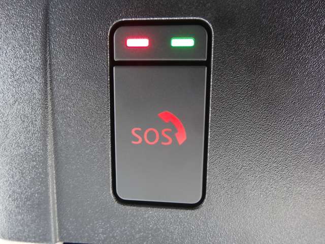 複数画像30