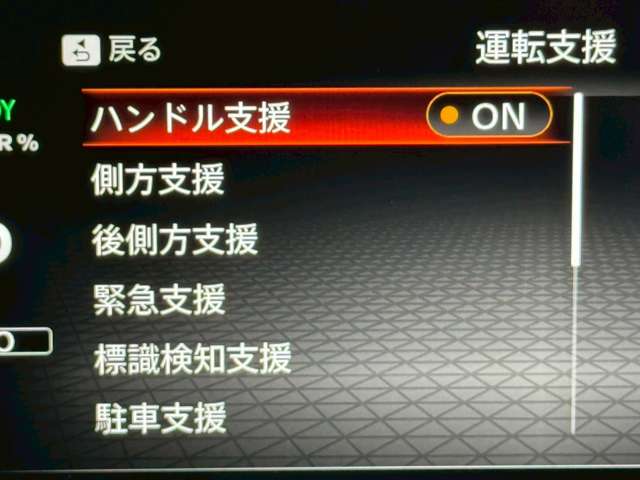 複数画像30