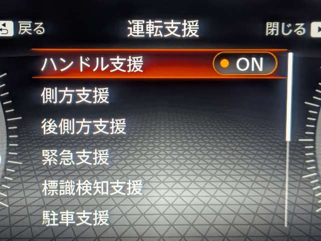 複数画像30