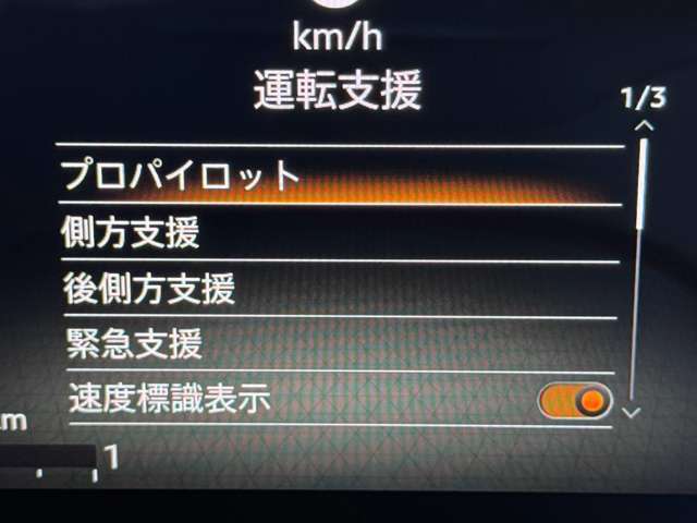 複数画像21