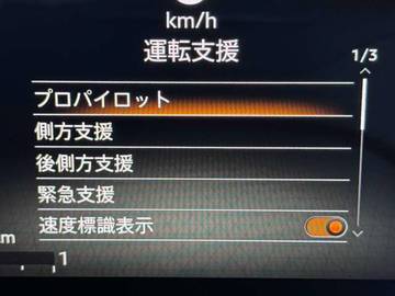 複数画像21