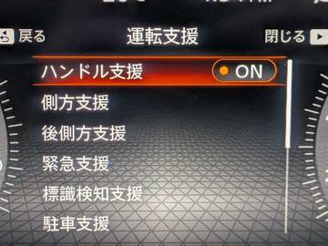 複数画像33