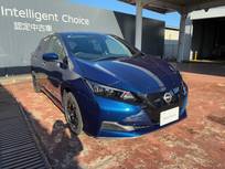 日産 リーフ e+ X プロパイロット アラビュー NCナビ 寒冷地