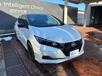 日産 リーフ e+ X プロパイ アラビュー NCナビ ETC　寒冷地