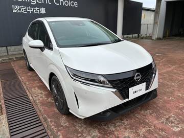 1.2 X 9インチナビ バックカメラ 寒冷地仕様