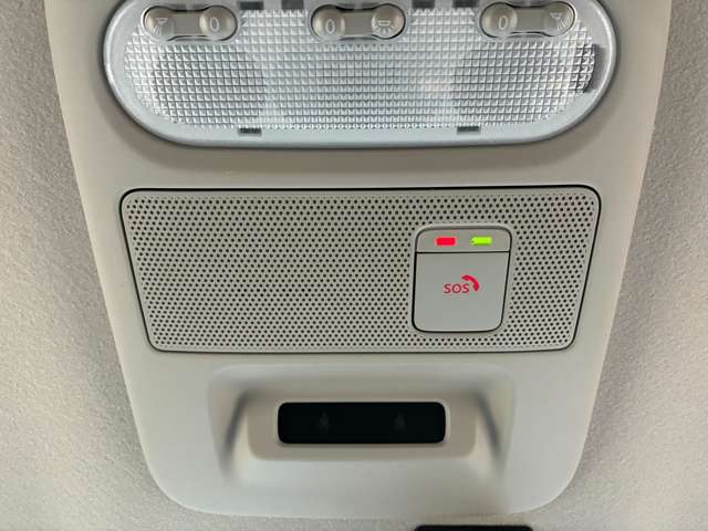 複数画像31